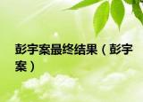 彭宇案最终结果（彭宇案）