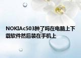 NOKIAc503肿了吗在电脑上下载软件然后装在手机上