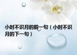 小时不识月的前一句（小时不识月的下一句）