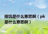 排坑是什么意思啊（pk是什么意思啊）