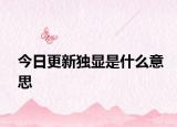 今日更新独显是什么意思