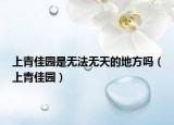 上青佳园是无法无天的地方吗（上青佳园）