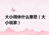 大小周休什么意思（大小说家）