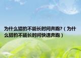 为什么猎豹不能长时间奔跑?（为什么猎豹不能长时间快速奔跑）