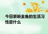 今日更新金鱼的生活习性是什么