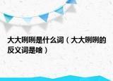 大大咧咧是什么词（大大咧咧的反义词是啥）
