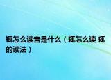 辄怎么读音是什么（辄怎么读 辄的读法）