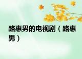 路惠男的电视剧（路惠男）