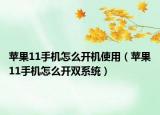 苹果11手机怎么开机使用（苹果11手机怎么开双系统）
