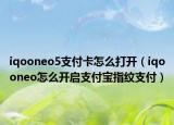 iqooneo5支付卡怎么打开（iqooneo怎么开启支付宝指纹支付）