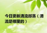 今日更新清流部落（清流是哪里的）