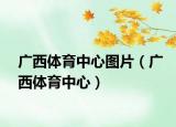 广西体育中心图片（广西体育中心）