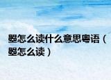 曌怎么读什么意思粤语（曌怎么读）