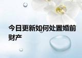 今日更新如何处置婚前财产
