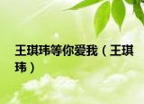 王琪玮等你爱我（王琪玮）