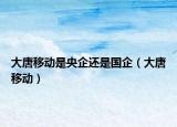 大唐移动是央企还是国企（大唐移动）
