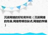 沉迷网络的好处和坏处（沉迷网络的危害,网络有哪些缺点,网络的弊端）