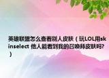 英雄联盟怎么查看别人皮肤（玩LOL用skinselect 他人能看到我的召唤师皮肤吗?）