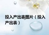 投入产出表图片（投入产出表）