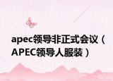 apec领导非正式会议（APEC领导人服装）