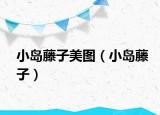 小岛藤子美图（小岛藤子）