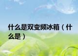 什么是双变频冰箱（什么是）