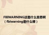 FBIWARNING这是什么意思啊（fbiwarning是什么梗）