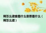 朔怎么读音是什么意思是什么（朔怎么读）
