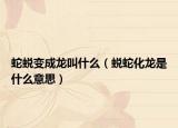 蛇蜕变成龙叫什么（蜕蛇化龙是什么意思）