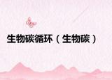 生物碳循环（生物碳）