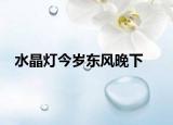 水晶灯今岁东风晚下