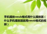 手机播放rmvb格式用什么播放器（什么手机播放器能用rmvb格式的视频）