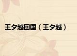 王夕越回国（王夕越）