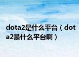 dota2是什么平台（dota2是什么平台啊）