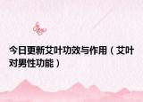 今日更新艾叶功效与作用（艾叶对男性功能）