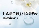 什么是合数（什么是PeerReview）