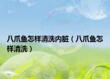 八爪鱼怎样清洗内脏（八爪鱼怎样清洗）