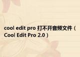 cool edit pro 打不开音频文件（Cool Edit Pro 2.0）