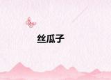 丝瓜子