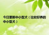 今日更新中小型犬（比较好养的中小型犬）