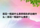 昙花一现是什么意思现在多比喻什么（昙花一现是什么意思）