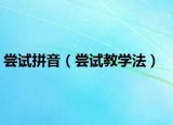 尝试拼音（尝试教学法）