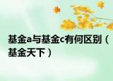 基金a与基金c有何区别（基金天下）
