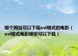 哪个网站可以下载avi格式的电影（avi格式电影哪里可以下载）