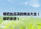 催奶丝瓜汤的做法大全（催奶食谱）