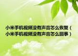 小米手机视频没有声音怎么恢复（小米手机视频没有声音怎么回事）