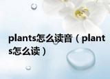plants怎么读音（plants怎么读）