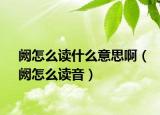 阙怎么读什么意思啊（阙怎么读音）