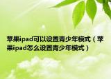 苹果ipad可以设置青少年模式（苹果ipad怎么设置青少年模式）