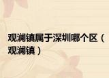 观澜镇属于深圳哪个区（观澜镇）